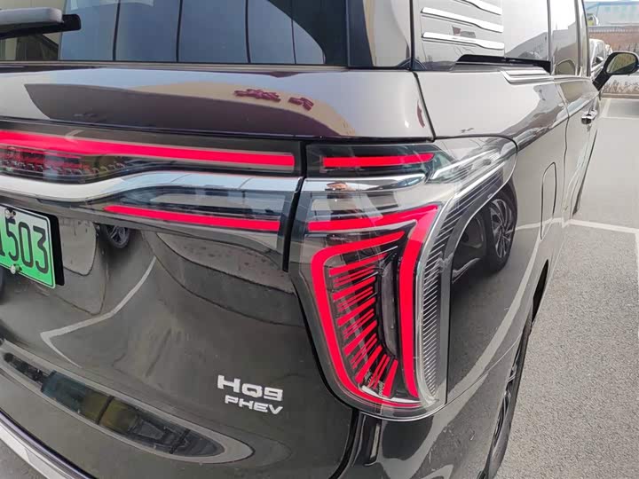 Фото 8 - Hongqi HQ9 Hybrid
