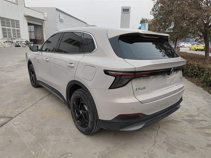 Фото 5 - MG Motor ES5