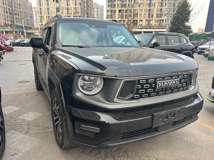 Фото 2 - Haval H-Dog