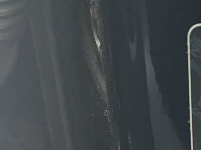 Фото 5 - Haval H-Dog