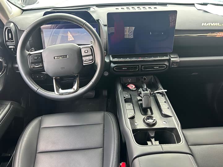 Фото 6 - Haval H-Dog