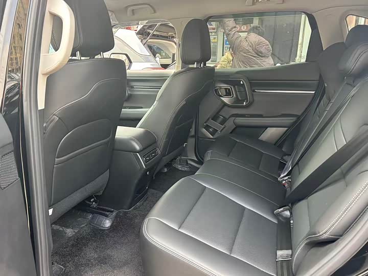 Фото 8 - Haval H-Dog