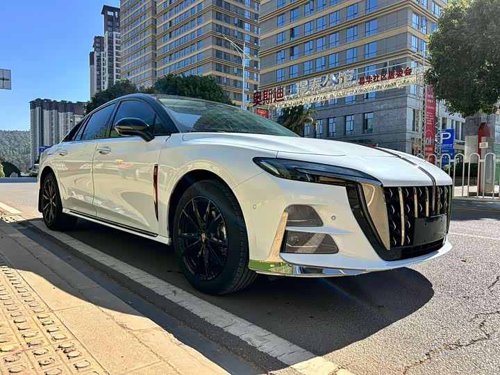 Фото 3 - Hongqi H6