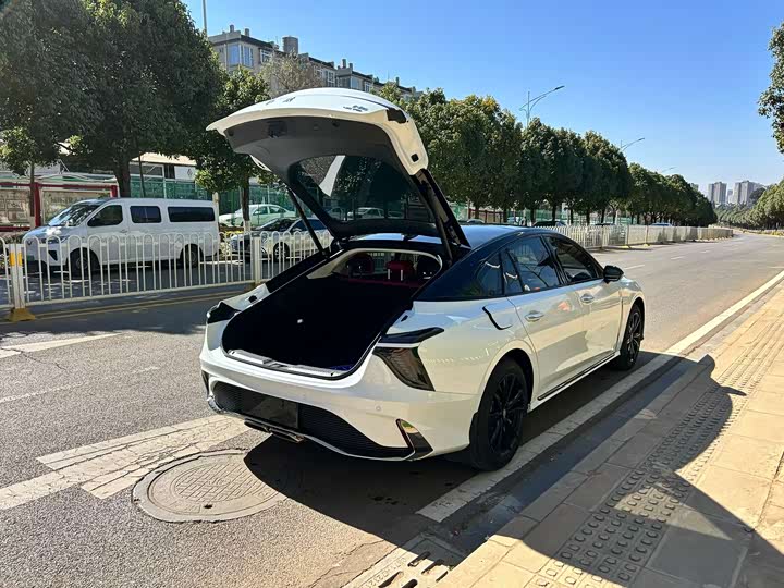 Фото 7 - Hongqi H6