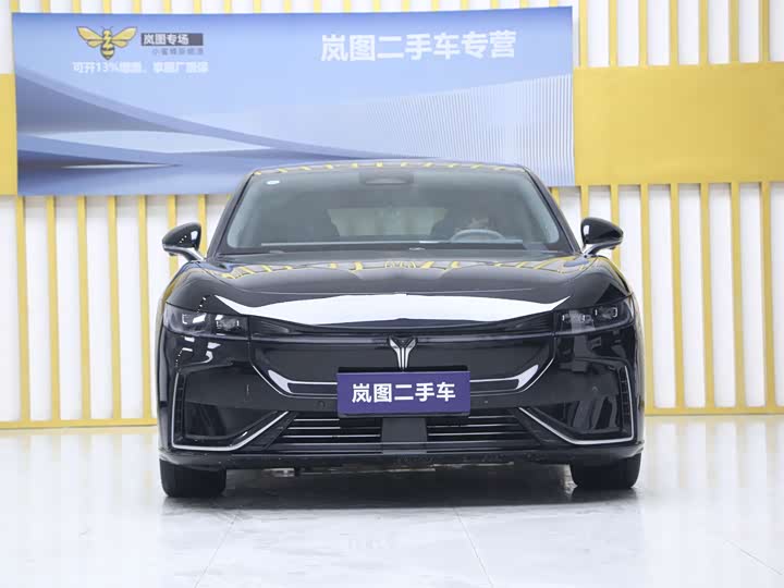 Фото 2 - Voyah Passion