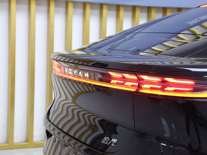 Фото 7 - Voyah Passion