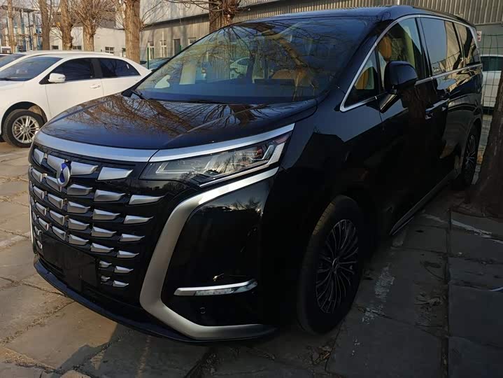 Фото 1 - Denza D9