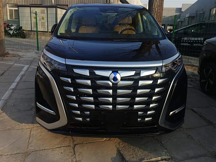 Фото 2 - Denza D9