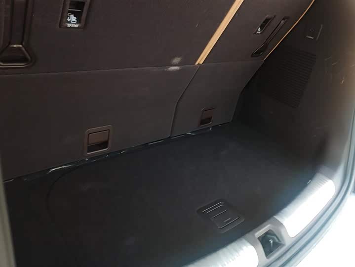 Фото 4 - Denza D9