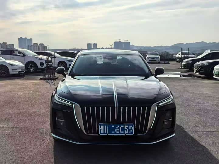 Фото 2 - Hongqi H5