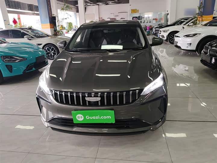 Фото 3 - Geely Binrui