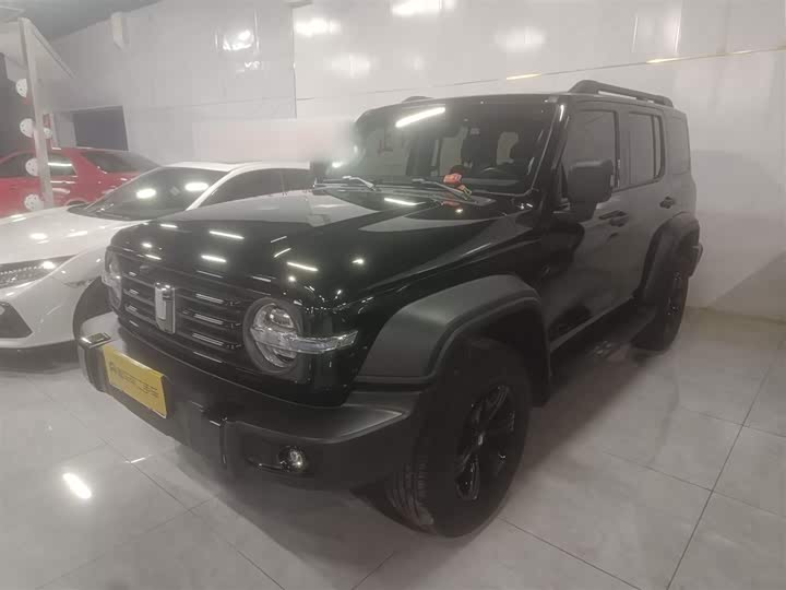 Фото 2 - Tank 300