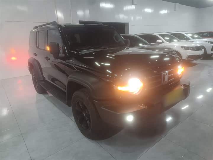 Фото 4 - Tank 300