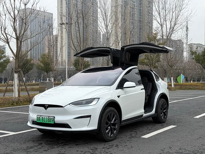Фото 1 - Tesla Model X