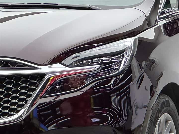 Фото 3 - Buick GL8 ES