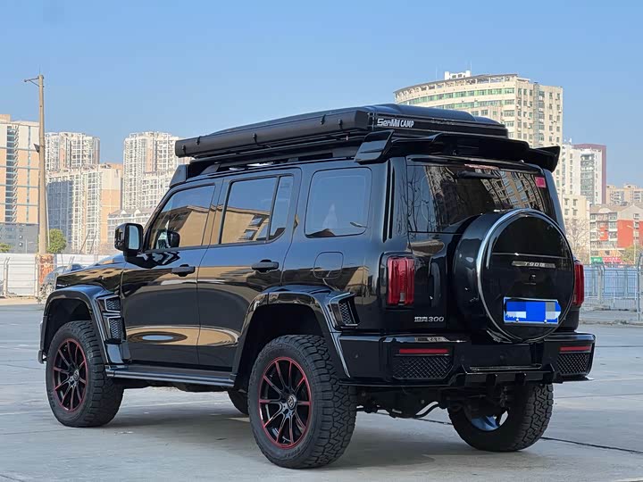 Фото 6 - Tank 300