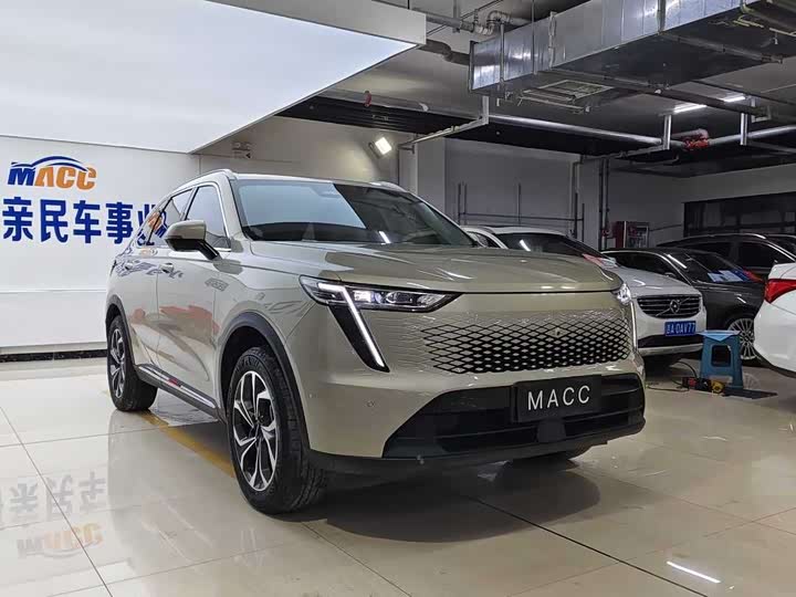 Фото 2 - Haval Ruge