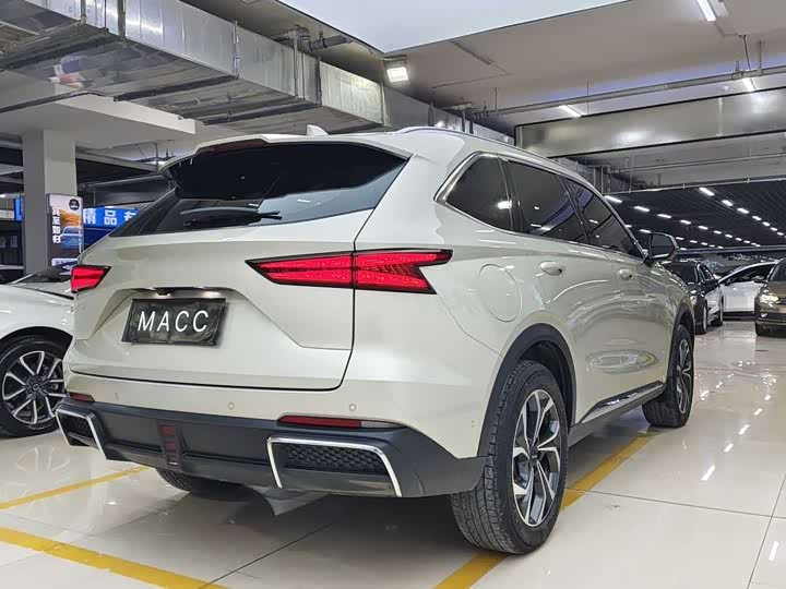 Фото 5 - Haval Ruge