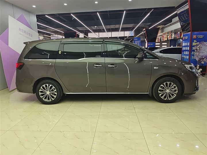 Фото 9 - Buick GL8 ES