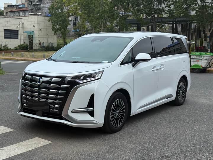 Фото 1 - Denza D9