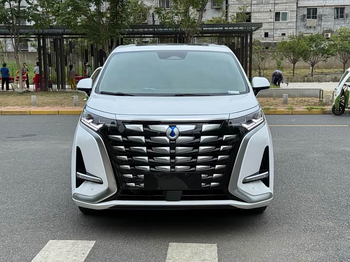 Фото 2 - Denza D9