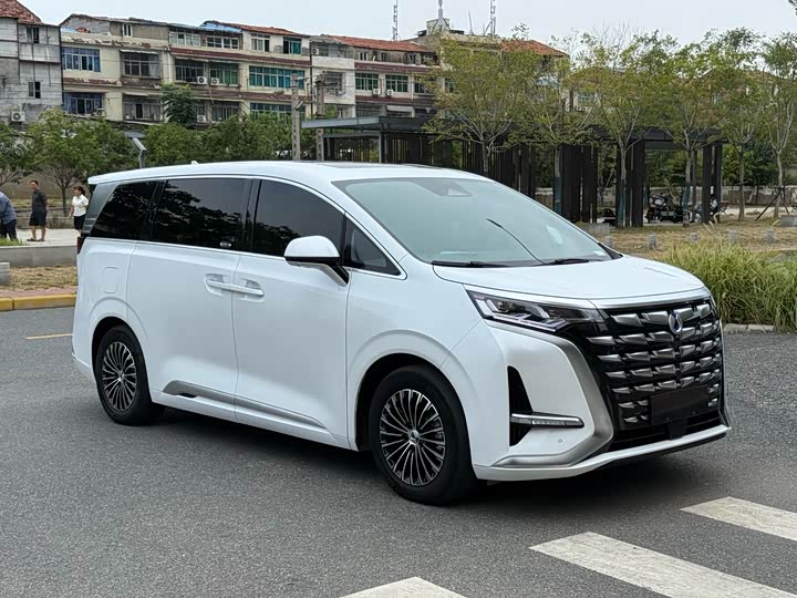 Фото 3 - Denza D9