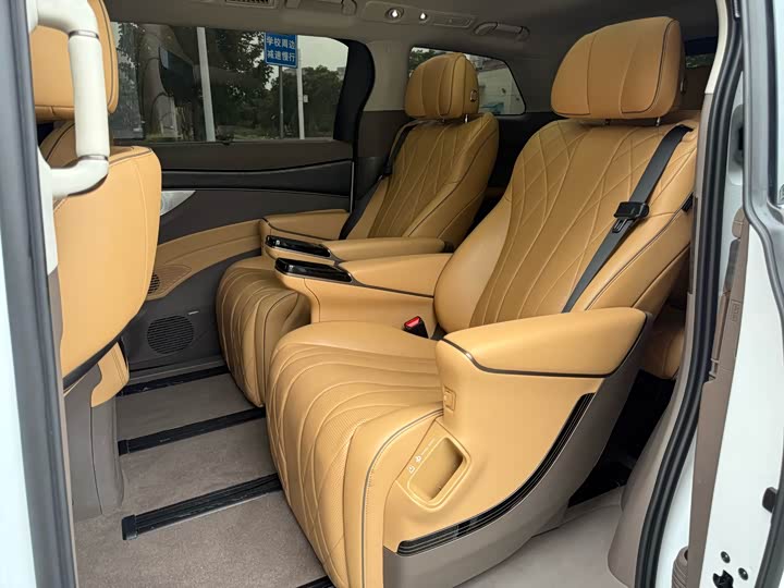 Фото 6 - Denza D9