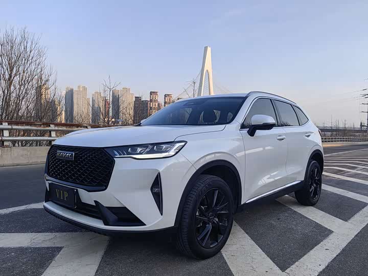 Фото 1 - Haval H6