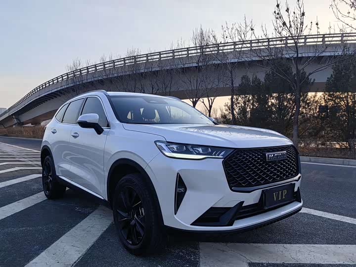 Фото 3 - Haval H6