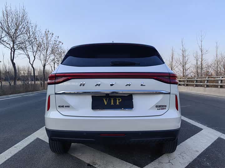 Фото 6 - Haval H6
