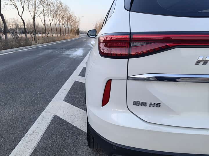 Фото 9 - Haval H6