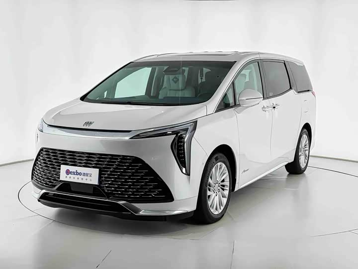 Фото 3 - Buick GL8 Century