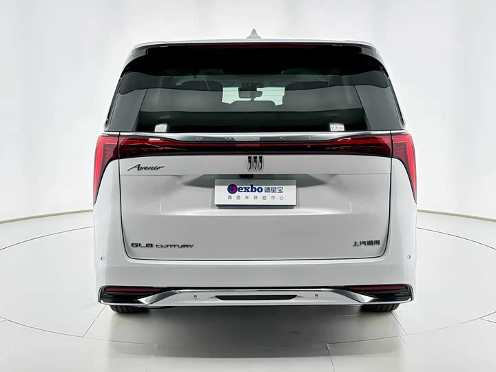 Фото 5 - Buick GL8 Century