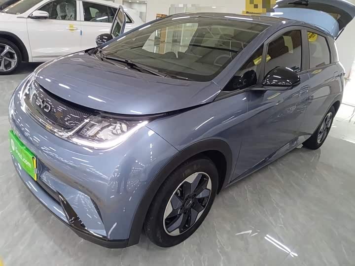 Фото 2 - BYD Dolphin