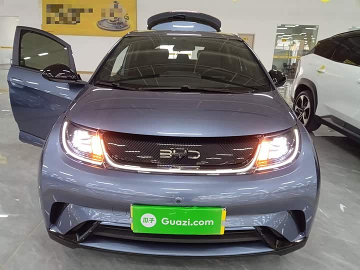 Фото 3 - BYD Dolphin