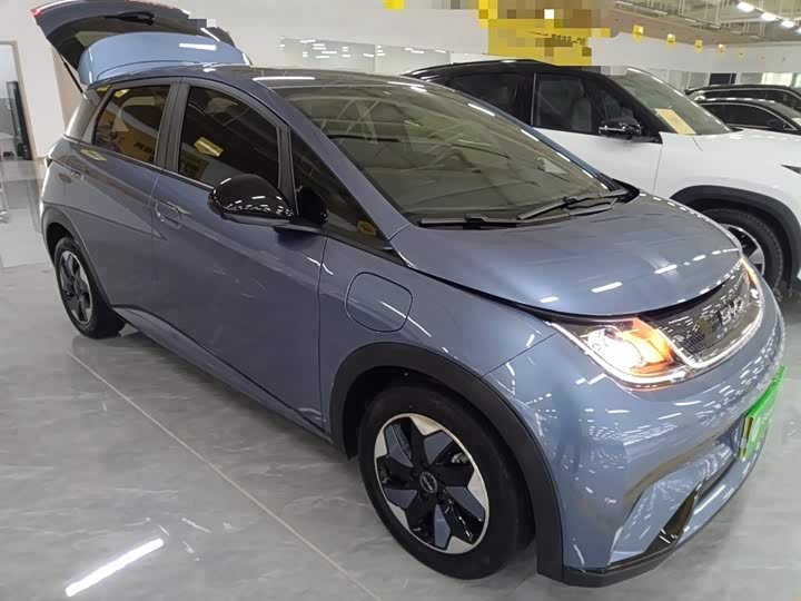 Фото 4 - BYD Dolphin