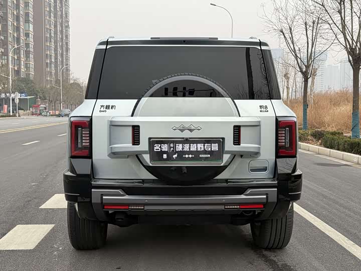 Фото 7 - BYD FangChengBao Leopard 8