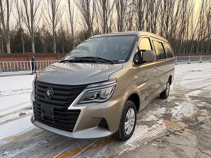 Фото 1 - Dongfeng Forthing Lingzhi M5