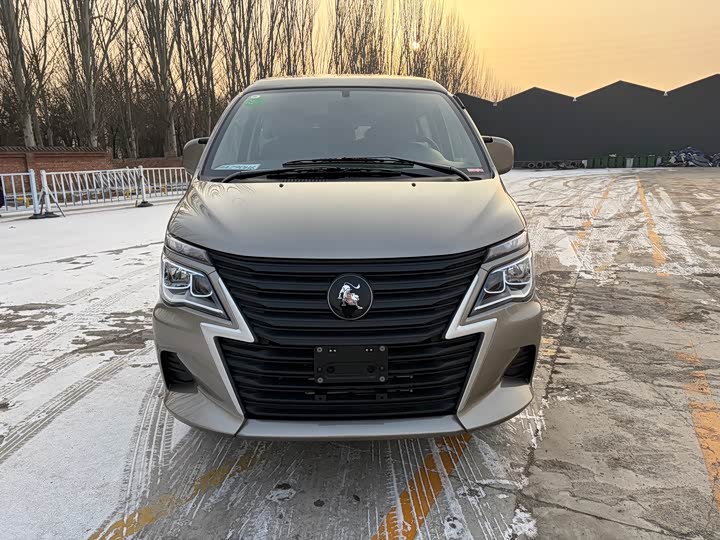 Фото 2 - Dongfeng Forthing Lingzhi M5
