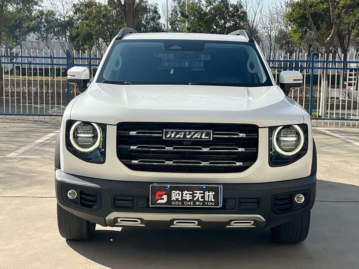 Фото 2 - Haval Dargo