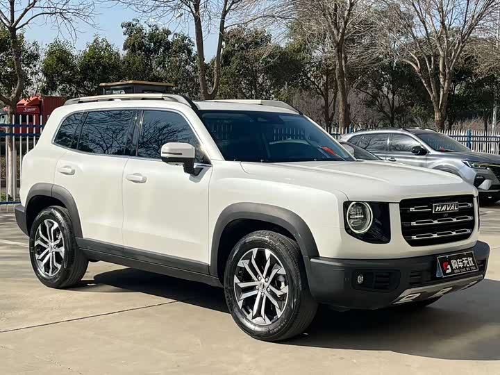 Фото 3 - Haval Dargo