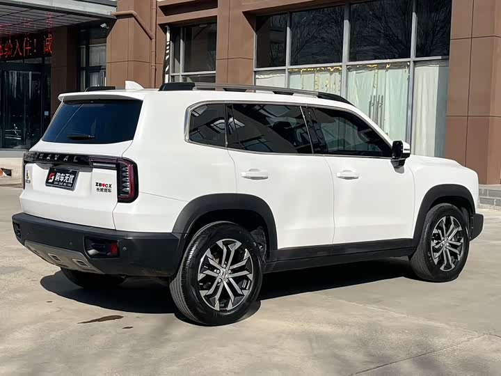 Фото 7 - Haval Dargo