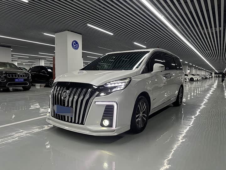 Фото 1 - Buick GL8 ES