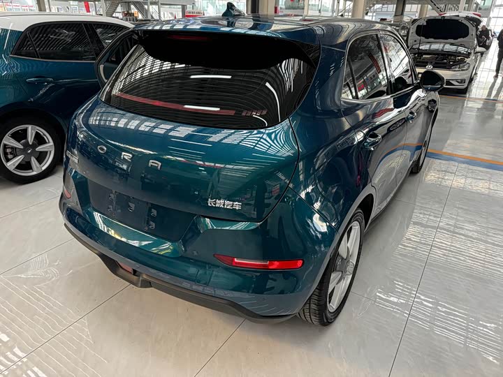 Фото 8 - Ora Good Cat (03)