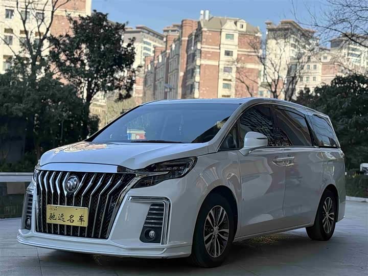 Фото 1 - Buick GL8 ES