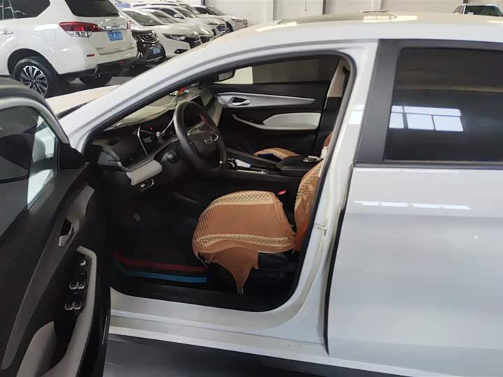 Фото 9 - Geely Binrui