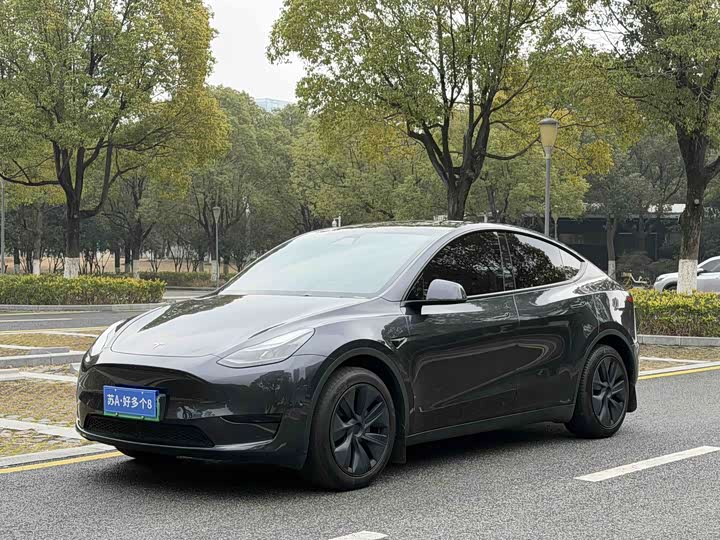 Фото 1 - Tesla Model Y