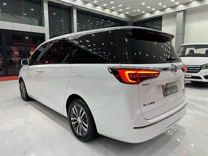 Фото 5 - Buick GL8 ES