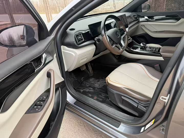 Фото 4 - BYD Qin Plus