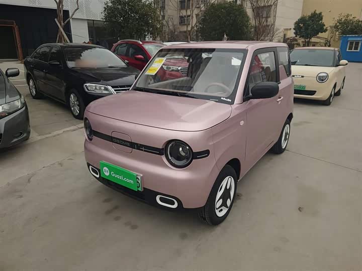 Фото 2 - Geely Galaxy Panda Mini